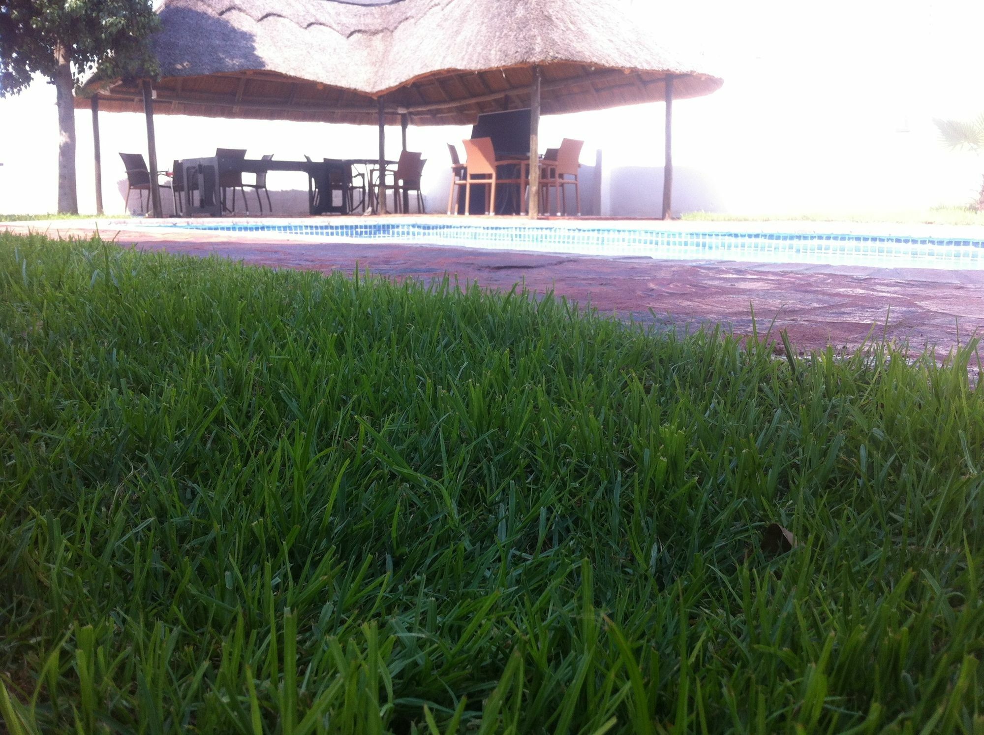 Cosy Palms Acomodação com café da manhã Gaborone Exterior foto
