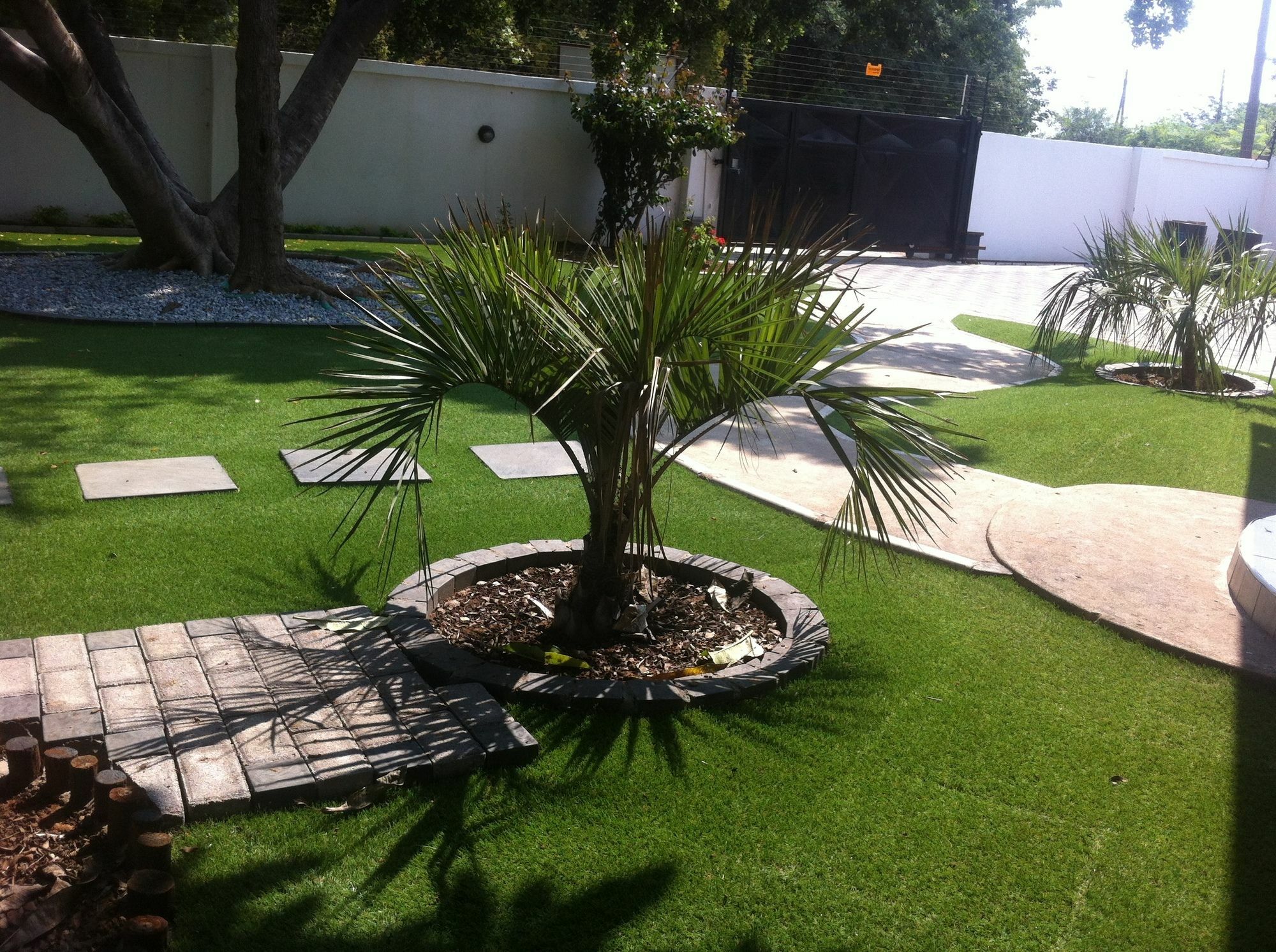 Cosy Palms Acomodação com café da manhã Gaborone Exterior foto